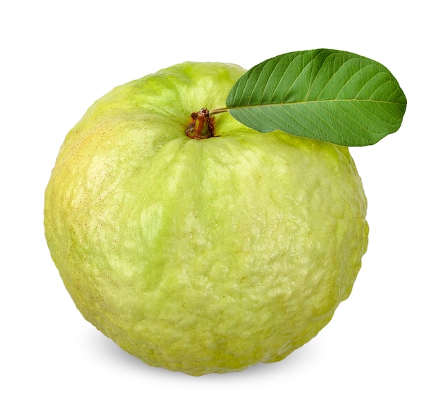 Guava fruit isolated on white clipping path