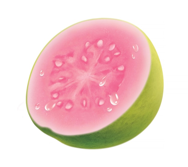 GUAVA illustration isolated on white background half cut