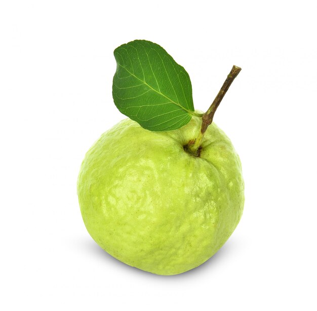 Guava isolated