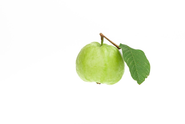 Guavas on white background