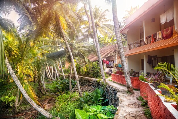 Guest house in tropic