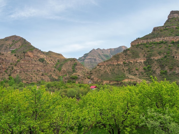 Guest house with red roof. Stone cottage in lush greenery in the mountains. Dagestan.