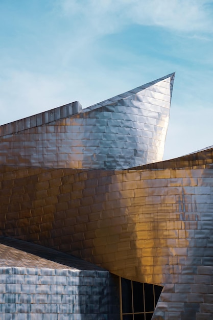 Guggenheim bilbao museum architectuur bilbao baskenland spanje reisbestemmingen