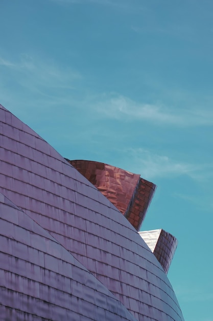 Guggenheim Bilbao museum architectuur kunst en cultuur