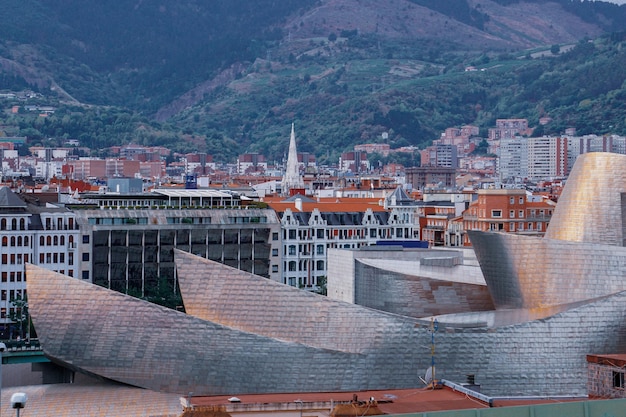 guggenheim Bilbao museum architectuur reisbestemmingen