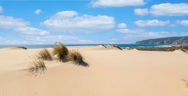 Guincho beach sand dunes