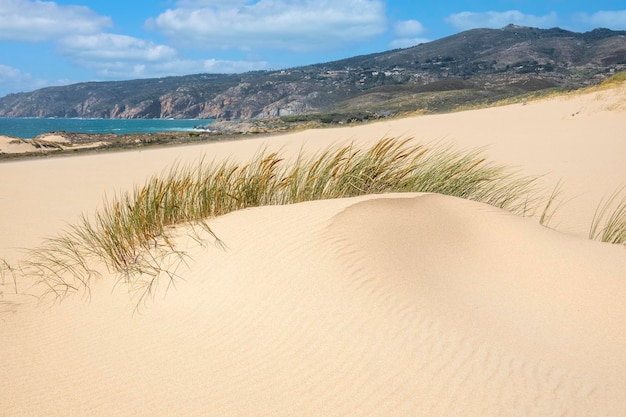 Guincho strand zandduinen