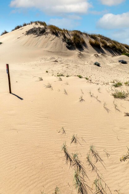 Guincho strand zandduinen