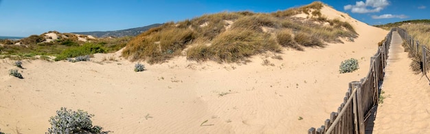 Деревянная тропа Гинчо через песчаные дюны