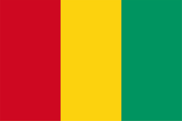 Guinese vlag van Guinee