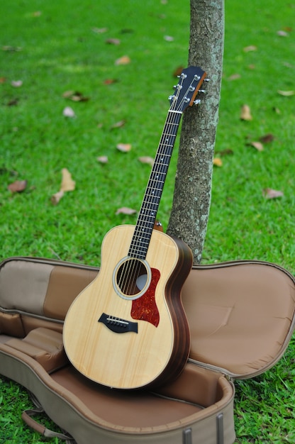 Foto chitarra in borsa sul fondo dell'erba