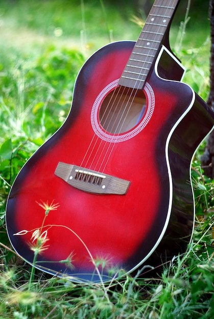 Guitar in forest