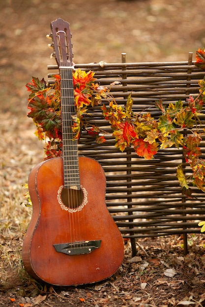 A guitar stands near a wicker fence entwined with autumn\
leaves.