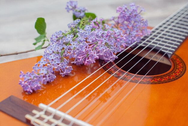 Foto una chitarra con sopra un fiore viola