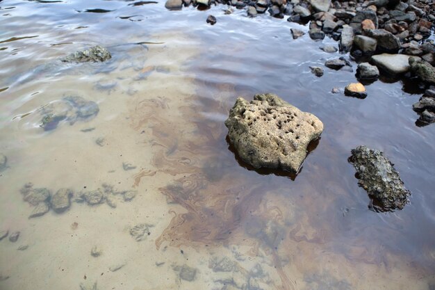 Gulf oil spill is shown on a beach