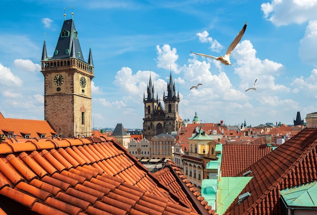 Gulls over Prague chimes and Tynsky cathedral at summer day