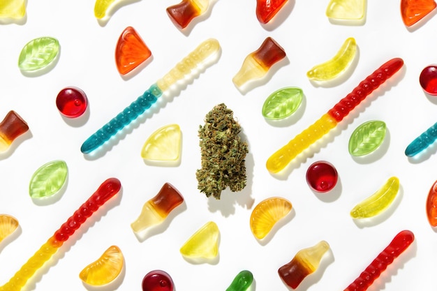 Among gummies of different shapes flavors and colors a dried cannabis bud lies on a white background in the center