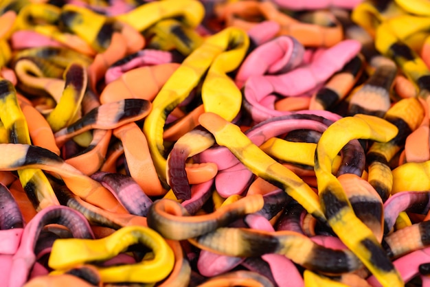 Gummy snake candy, yelow and pink background