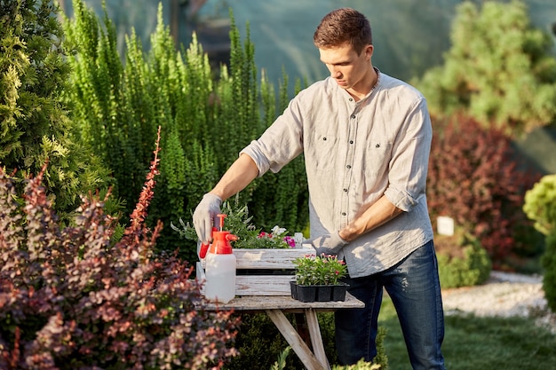 Guy gardener puts the pots with seedlings in the white wooden box on the table in the wonderful nursery-garden on a sunny day. .