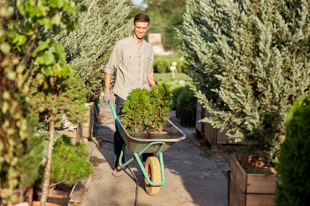 Photo guy gardener rolls a cart with seedlings in pots along the garden path in the wonderful nursery-garden on a warm sunny day .