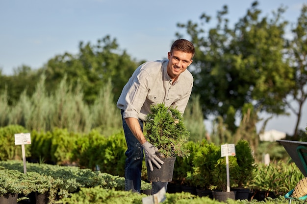 Guy tuinman zet de zaailingen in potten in een kar op het tuinpad in de prachtige kwekerij op een zonnige dag.