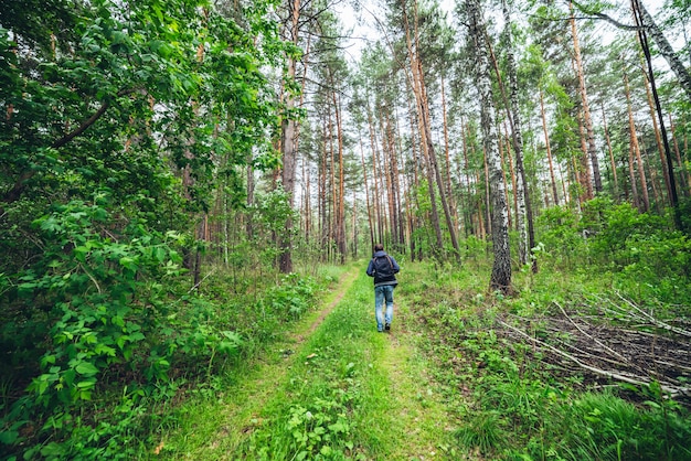 Guy with backpack walking in sunny forest among lush thickets