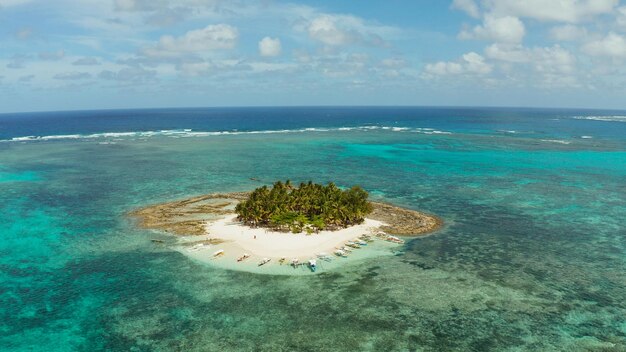 写真 美しいビーチパームの木が広がるガイアム島はシアルガオの上から見えるターコイズ色の水面です