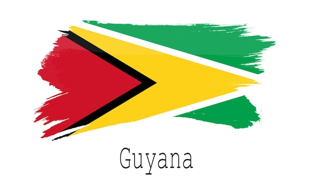 Guyana flag on white background