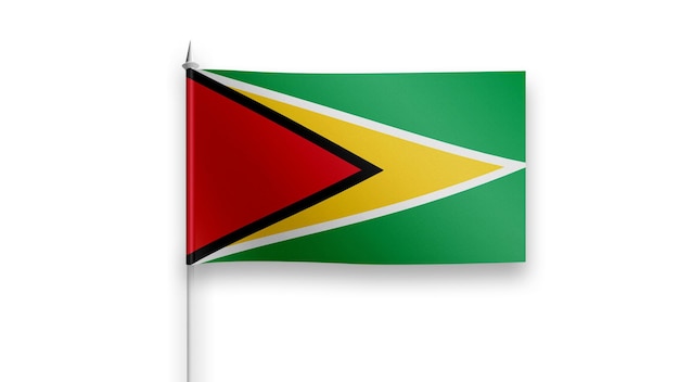 guyana flag on a white background