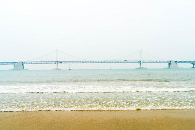 gwangan bridge in Busan