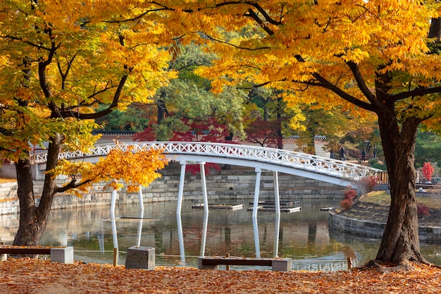 Foto gyeongbokgung paleis in de herfst seoul zuid-korea