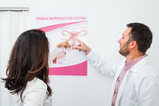 Foto il ginecologo spiega al paziente il sistema riproduttivo femminile