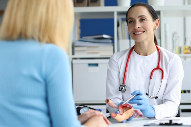 Gynecologist holds model of female reproductive system of uterus and consults patient