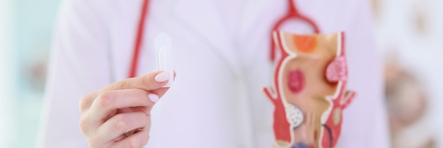 Gynecologist shows tampon and female reproductive organs model in clinic office hygienic