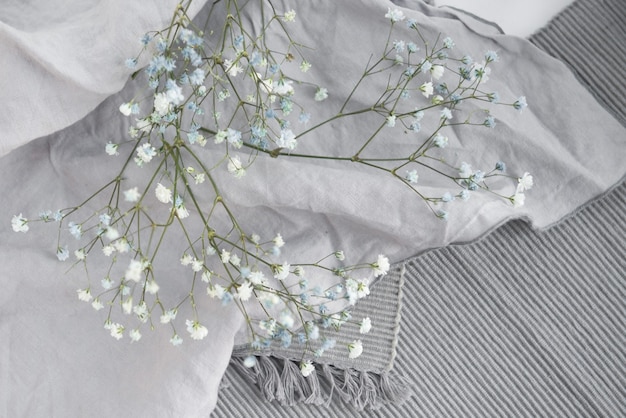 gypsophila bloem op grijze doek plat gelegd