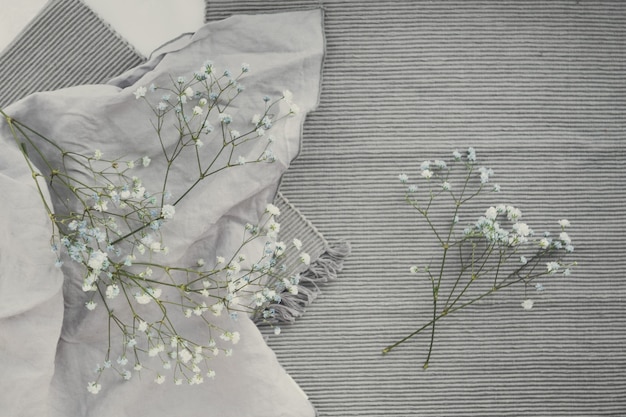 gypsophila bloem op grijze doek plat gelegd