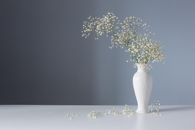 Gypsophila bloemen in witte vaas op blauwe achtergrond