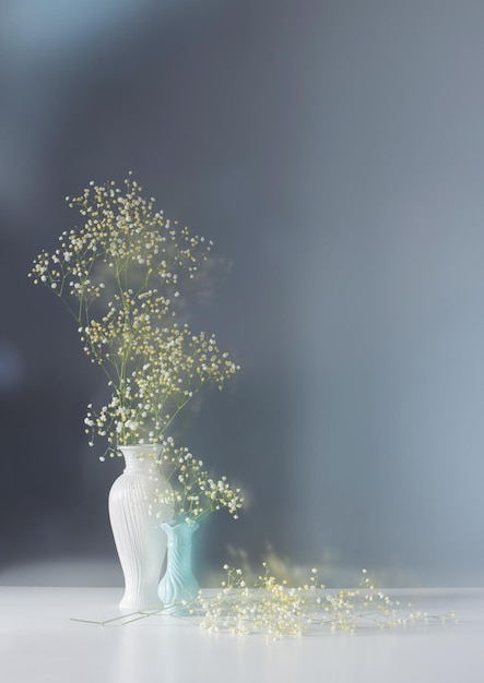 Gypsophila bloemen in witte vaas op blauwe achtergrond