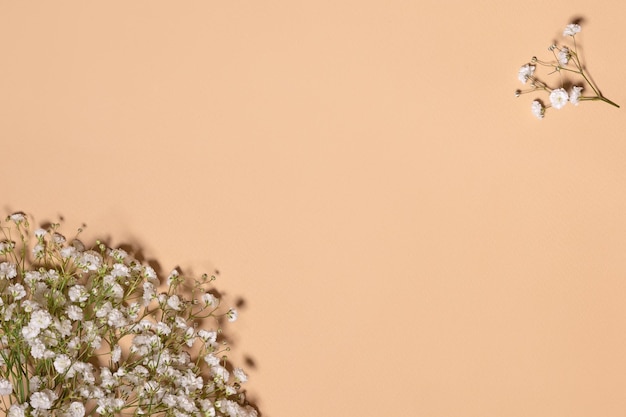休日のコピースペースのために開くベージュの背景の壁紙のカスミソウの花