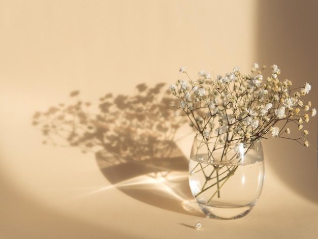 写真 ベージュ色の背景の光と影の上のジプソフィラの花