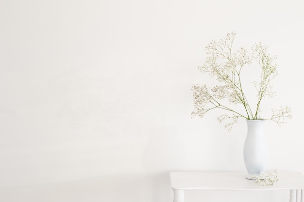 Gypsophila in white vase on old wooden shelf on white background