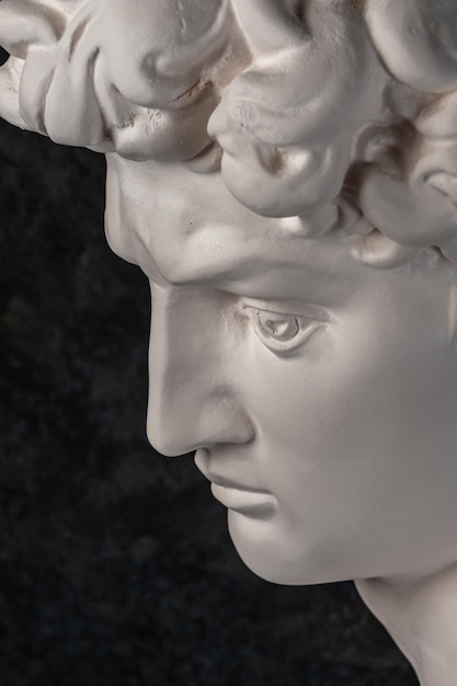 Gypsum copy of head statue david for artists on dark background
replica of face famous sculpture