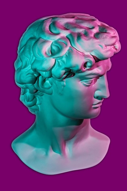 Gypsum copy of head statue david for artists plaster face of\
sculpture youth david before fight with
