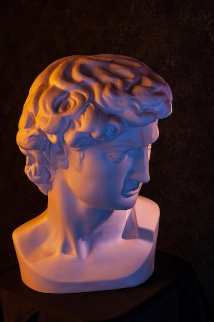 Gypsum copy of head statue david in bright neon colors for artists on a dark background face famous