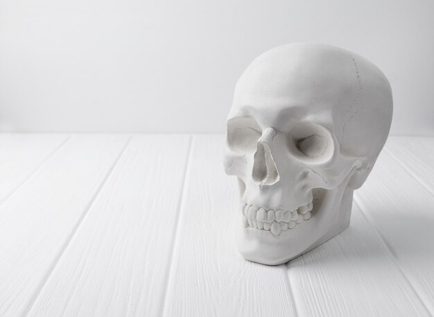 Gypsum human skull at white wooden table.