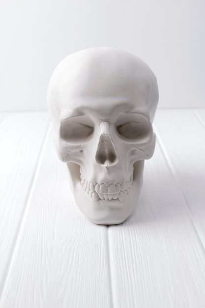 Gypsum human skull at white wooden table.