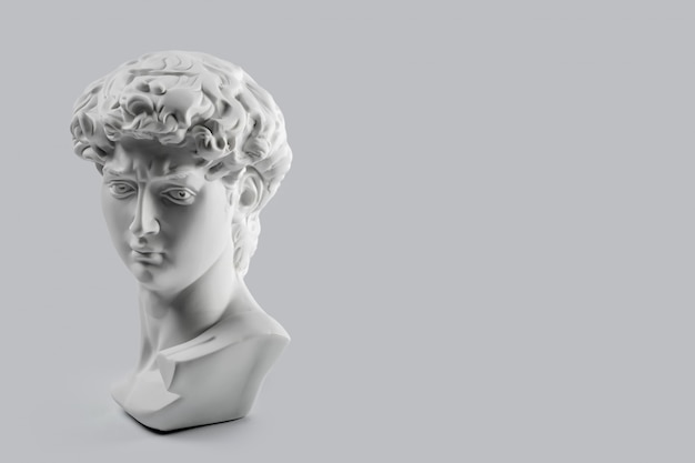 Gypsum statue of david\'s head