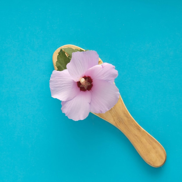 Haarborstel met hibiscusbloem en bladeren in plaats van kammen, plat gelegd
