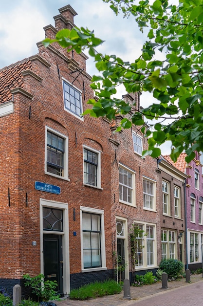 Haarlem the Netherlands March 2022 decorative plants on the city street Cozy green little street in Haarlem Concept social inclusion and climate change