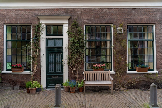 Haarlem the Netherlands March 2022 Traditional Dutch wooden bench surrounded by decorative plants on the city street